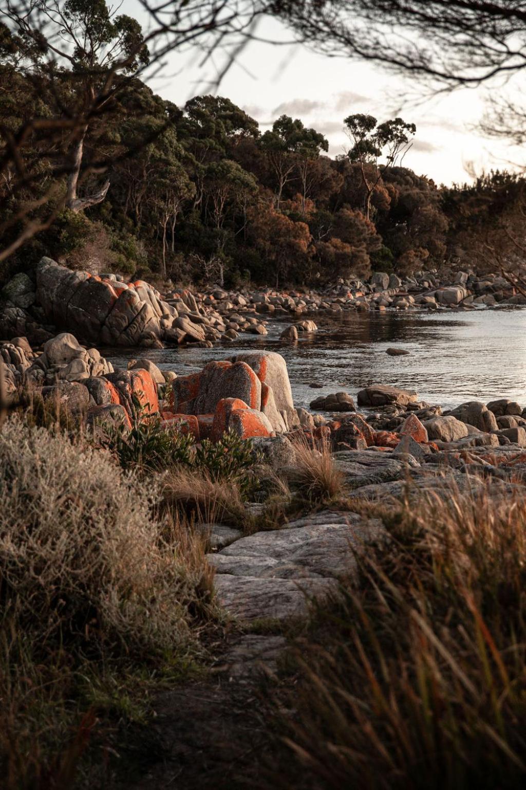 فيلا Driftwood Rest Binalong Bay Sleeps 4 المظهر الخارجي الصورة