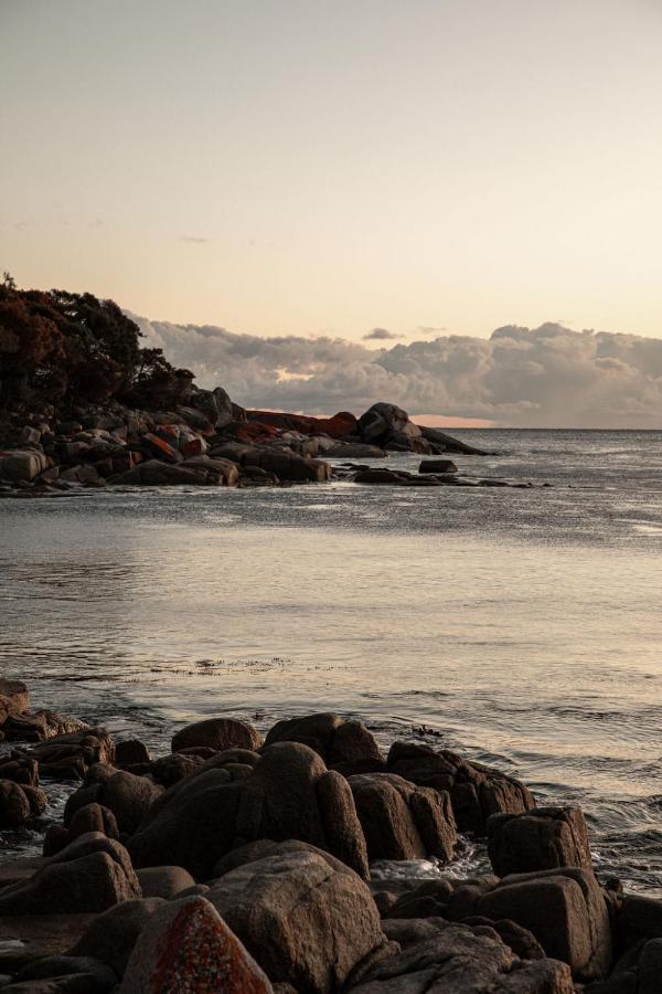 فيلا Driftwood Rest Binalong Bay Sleeps 4 المظهر الخارجي الصورة